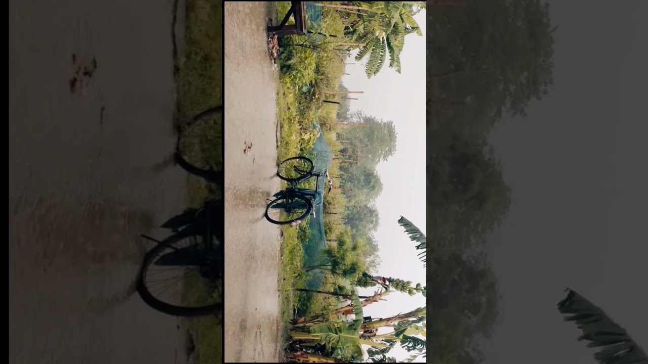 The Rain Cinematic Video