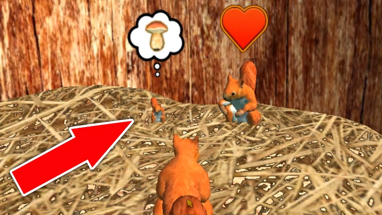 Играть в 2 белки. Белка симулятор мыши. Играть в 2 белки. Симулятор белка 2. Игра белка в матрице.