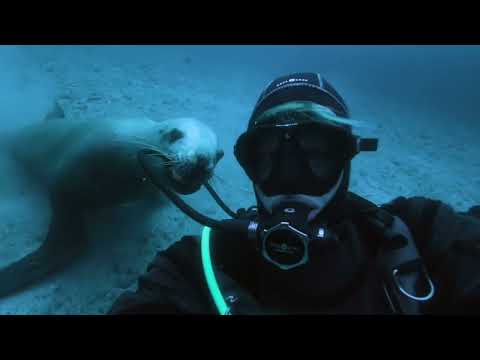 National Geographic Live