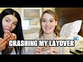 SHE CRASHED MY LAYOVER | FLIGHT ATTENDANT LIFE