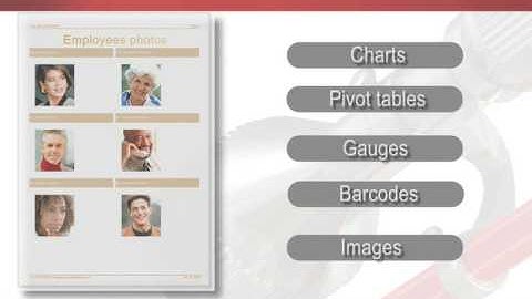 Perpetuum Software Introduction - Vendor of Reporting, Charting, Gauge, OLAP, Dashboard Software Components for .Net, ASP.Net and Silverlight