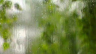 Rain on Window with Binaural Beats: Delta Waves of 3Hz screenshot 4