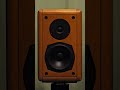 Wiim Amp Ultra