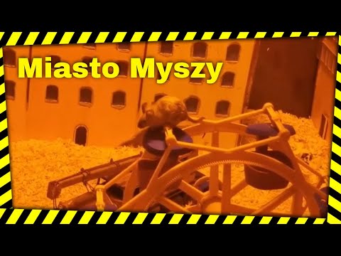 Miasto Myszy Kołobrzeg - miniaturowy świat