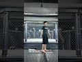 하나 둘 셋 #shorts #sports #mma #roadfc