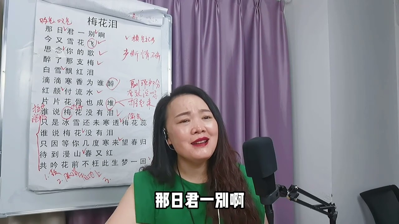《梅花泪》歌曲教学