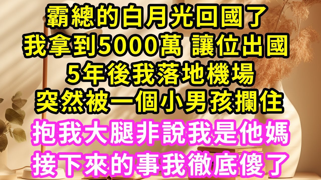 霸總的白月光回國了，我拿到5000萬 讓位出國，不料5年後我落地機場，突然被一個小男孩攔住，抱我大腿非說我是他媽，接下來的事我徹底傻了#甜寵#灰姑娘#霸道總裁#愛情#婚姻#小嫻說故事#暖風故事匯