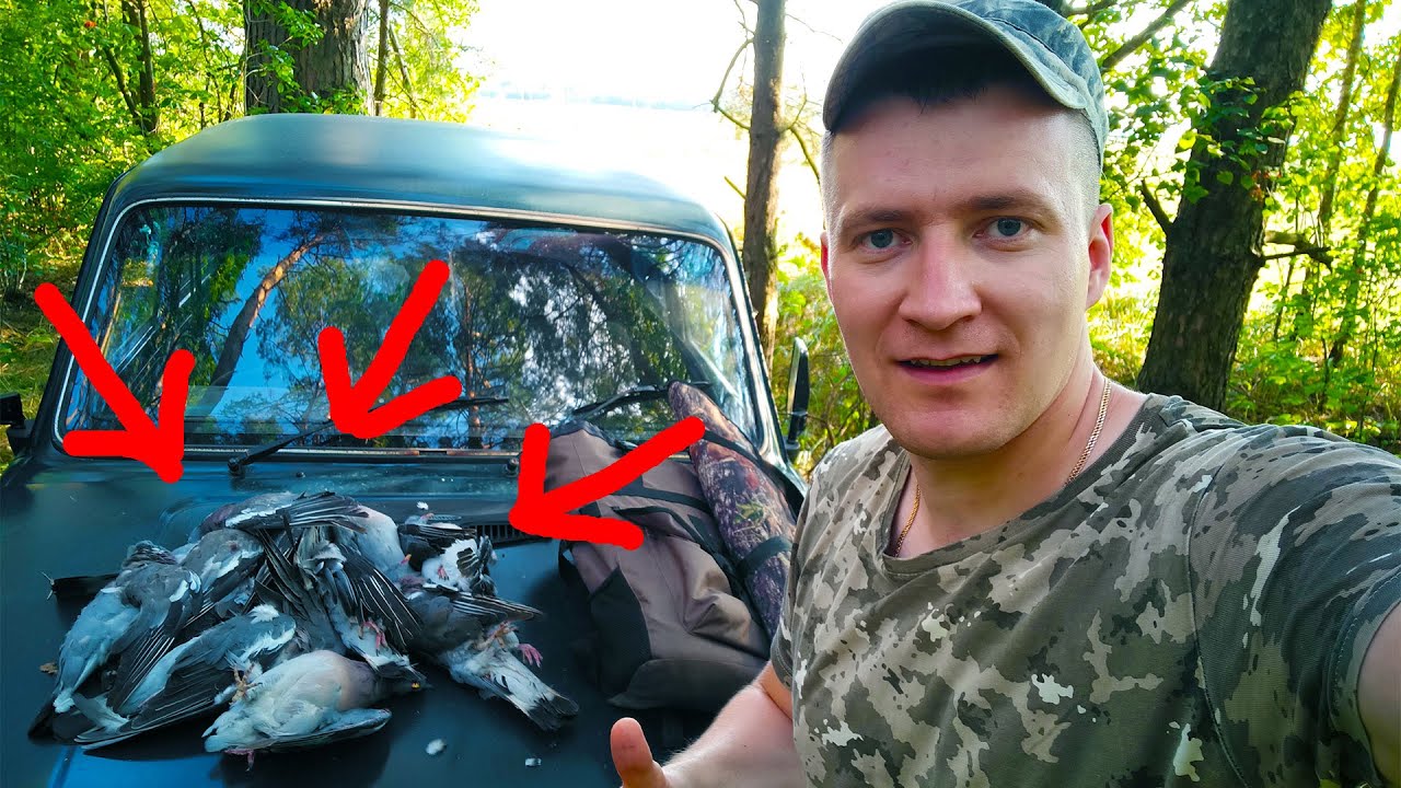 ОХОТА НА ВЯХИРЯ. ИМ ЗДЕСЬ МЕДОМ НАМАЗАНО! - YouTube