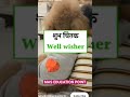daily use vocabulary # sanu sir