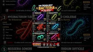 Deadliest bacteria in the world # amazing facts# knowledge # Nexus illumina