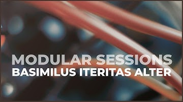 Modular Sessions 03/2020: Basimilus Iteritas Alter as a voice