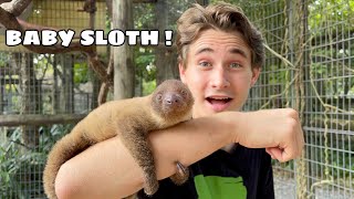 TEACHING CUTE BABY SLOTH HOW TO CLIMB TREES !