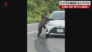 【速報】ヒグマが車揺するトラブル 北海道・知床「速やかに通過を」