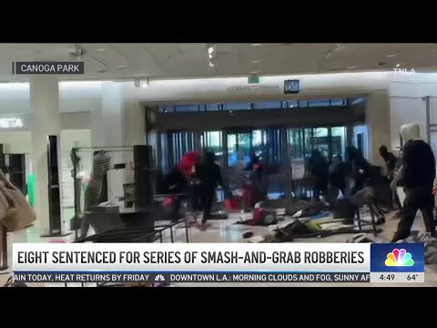 8 sentenced for series of smash-and-grab robberies