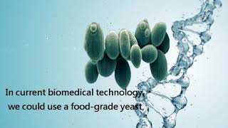 CD34 biotech