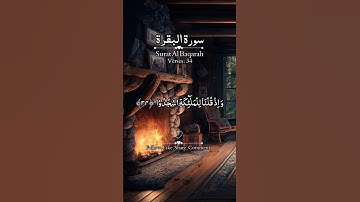 سورة البقرة الشيخ مشاري راشد العفاسي #quran #explore #quranexplorer #quranshort #quranicwonders