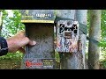 Browning Spec Ops Advantage Trail Camera - Overview & Backyard Bait Test