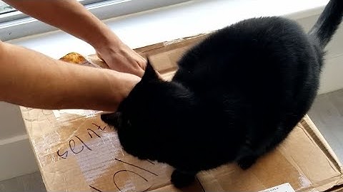 Pax Elys POS Workstation Unboxing | Presentation by CSI Works makers of CorePOS