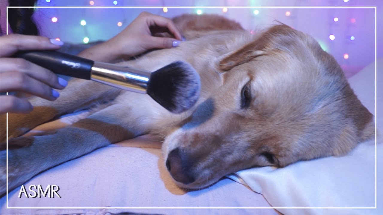 Corte de pelo a perrito ❤ | ROLEPLAY | Luma ASMR