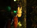 Chuddy little Christmas tree #cinematography #christmas #filmmaking #cinematic #stardewvalley