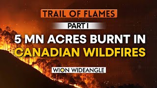 How did exactly Canadian wildfires start? | part 1 WION Wideangle