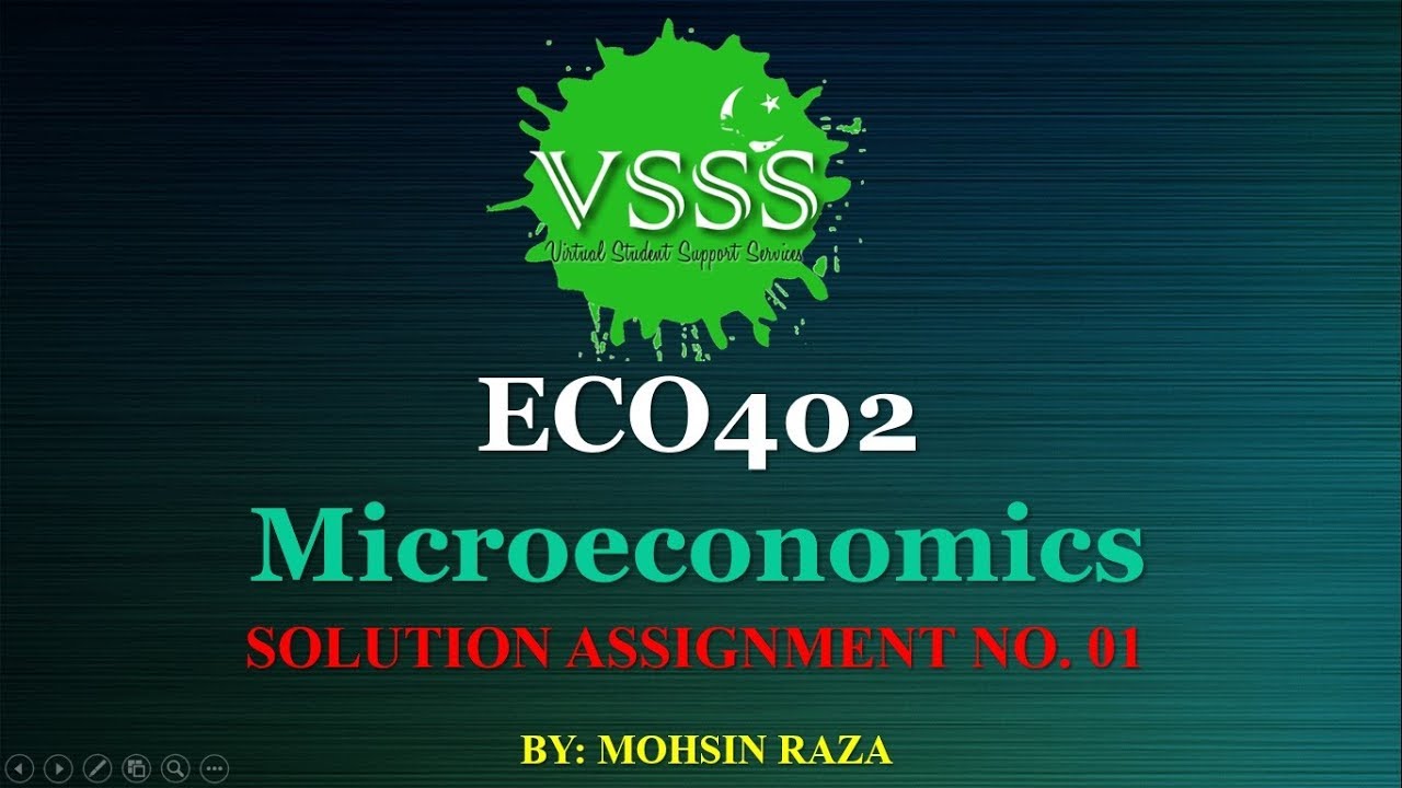 microeconomics (eco402) assignment no 01 solution
