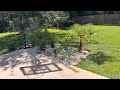 2023 Early Fall Palm Garden Update! 😱🌴