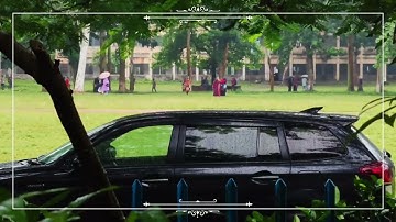 Botany ccr61 #honor200#3rdyear#nature  #rain#rainsounds#viral#viralvideo#trending#trendingshorts#