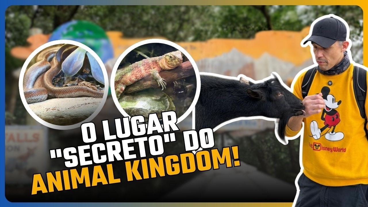 RAFIKIS PLANET WATCH o parque 