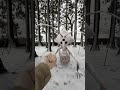 訓練ぷるたん #shorts #ぷるたん #funnyanimals #面白い動物 #虫 #blender #vfx