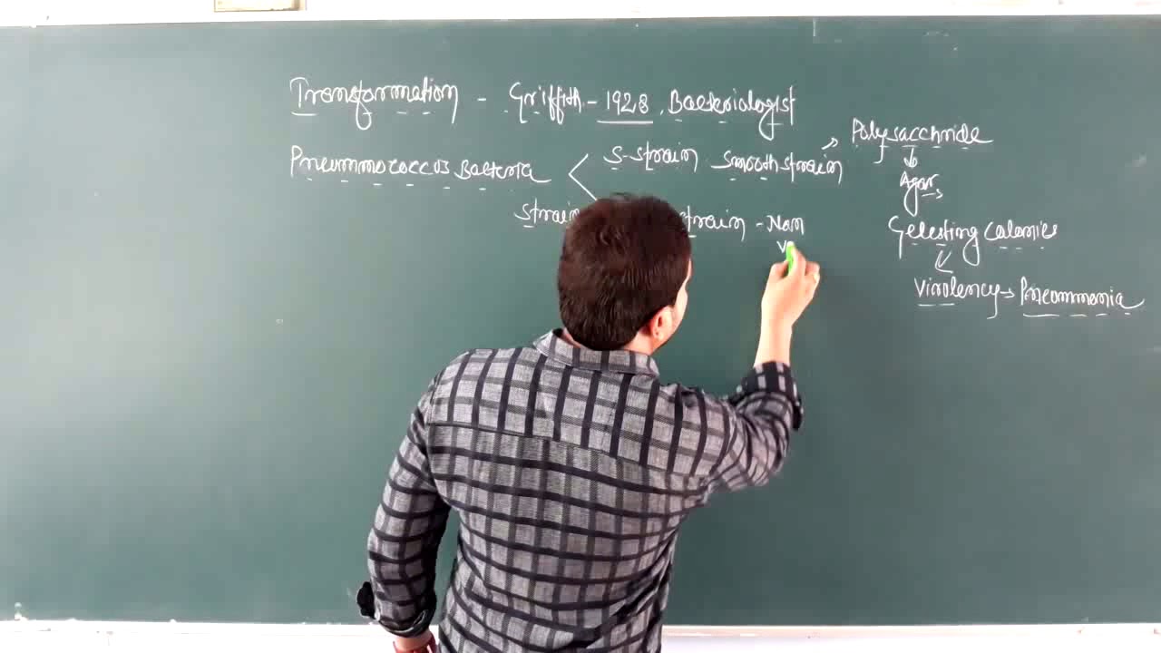 Griffith and Avery Experiment