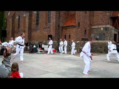 Danish, Holstebro Taekwondo Club doing a performance at Holstebro "Partyweek." In this video = Tecnic, Poomsae, Taequek, Hanbon kireugi, Self defence, Fight, Break test. Injoy