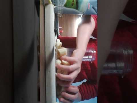 Video: Bananin Smuti Z Nektarino