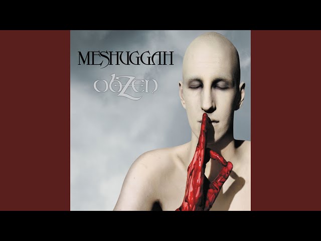 MESHUGGAH - This Spiteful Snake