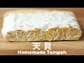 天貝是甚麼【純素】三大發酵營養食品之一 How to Make Tempeh Homemade