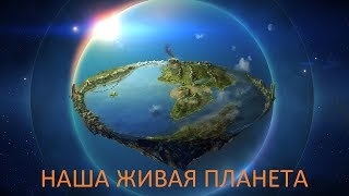 Техносфера убивает жизнь