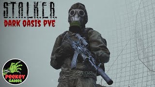 видео: 🛑 DayZ Stalker  картинка: 🛑 DayZ Stalker