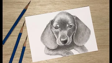 リアルな犬の描き方簡単