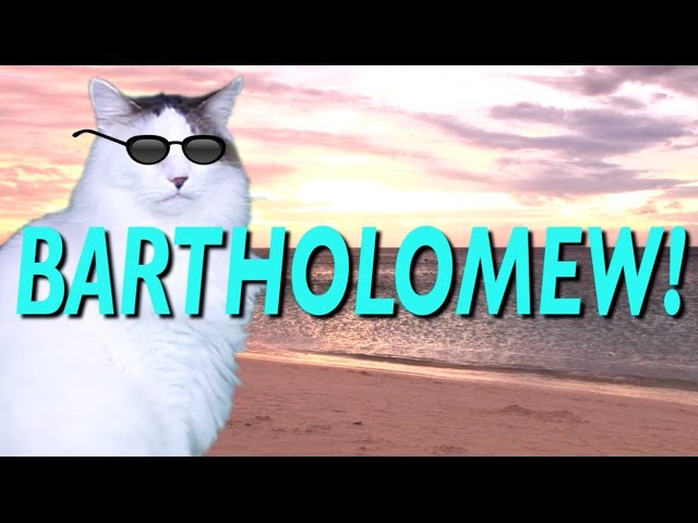 HAPPY BIRTHDAY BARTHOLOMEW! - EPIC CAT Happy Birthday Song