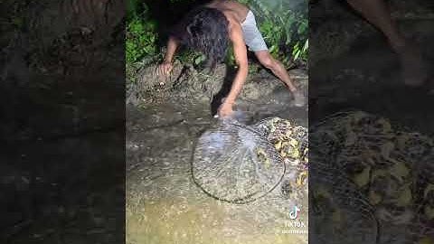 Wild Fishing Method Caught on Camera — Wait Until the End!