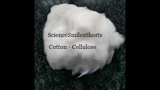 L26. How Cotton Is Related To Eye- A Cellulose Story