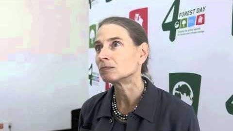 Frances Seymour on forests and climate change