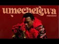 Mbosso Umechelewa (Official Lyrics Video