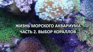 Жизнь морского аквариума. Часть 2. Выбор кораллов Жизнь морского аквариума. Часть 2. Выбор кораллов