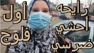 أول فلوج في القناة (رايحه أحشي ضرسي) مريم القنصل Vlog 1 dental filling