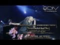 DIV / Never Divided Just Dive Short Ver (Live at ZeppShinjuku 20240719)