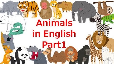 英語で動物 Youtube