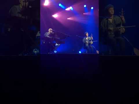 Tribe By Mark Eliyahu מארק אליהו Live Concert Brussels 