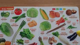 『にほんごえいご　はじめてのずかん』