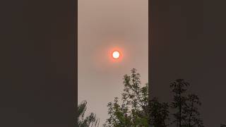 Calgary Skies: Red Sun (Ab Wildfire Smoke)